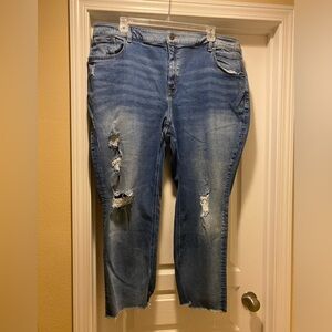 Lane Bryant, distressed jeans, size 24.